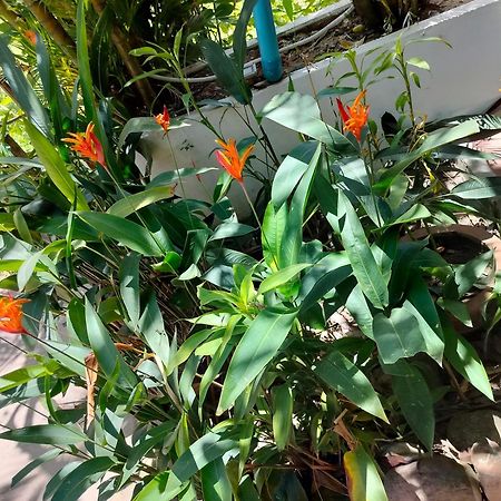 Bohemiaz Resort And Spa קמפוט מראה חיצוני תמונה
